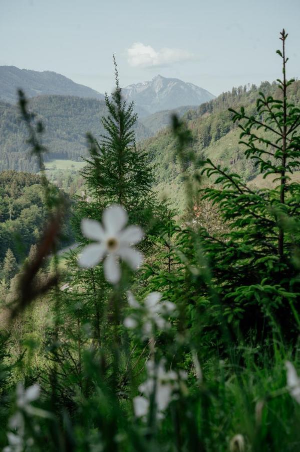 Ferienwohnungen Baumann-Breitenberg Sankt Georgen am Reith Exteriér fotografie